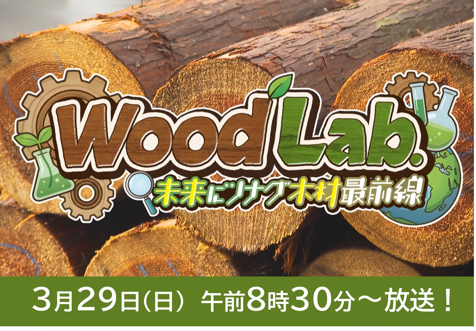 Wood Lab. —未来にツナグ木材最前線