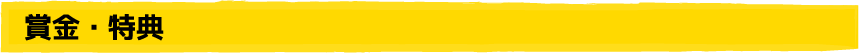 賞金・特典