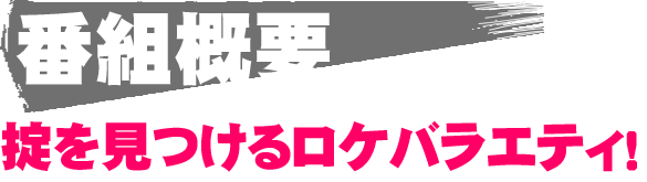 番組概要 掟を見つけるロケバラエティ!